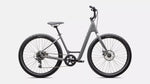 Specialized ROLL 2.0 LOW ENTRY CLGRY/SMK Small