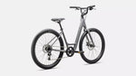 Specialized ROLL 2.0 LOW ENTRY CLGRY/SMK Small