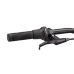 Scwwinn Ranger Bike Red