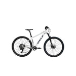 Eagle Alamo Mountain Bike