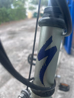 1989 Specialized Hardrock Vintage Mountain Bike — 19" Steel Frame, 26" Wheels, 21-Speed