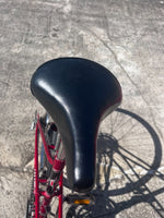 Close-up frame and chrome component detail on the vintage Matsuri FUNdamental Mixte road bike